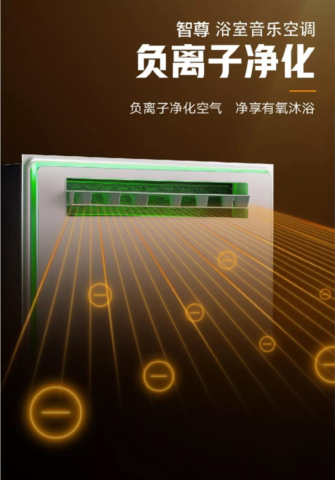 负离子净化功能